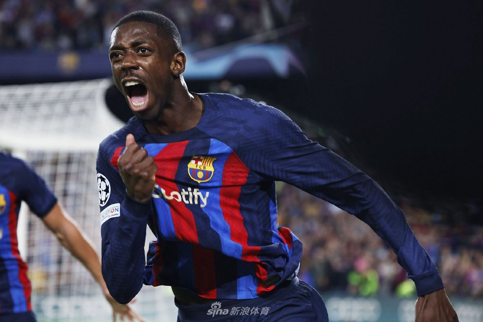 素养的体现 素养的体现